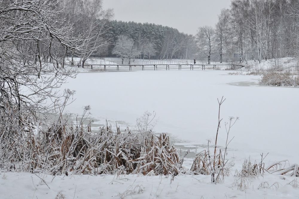 Photograph by Романов Денис