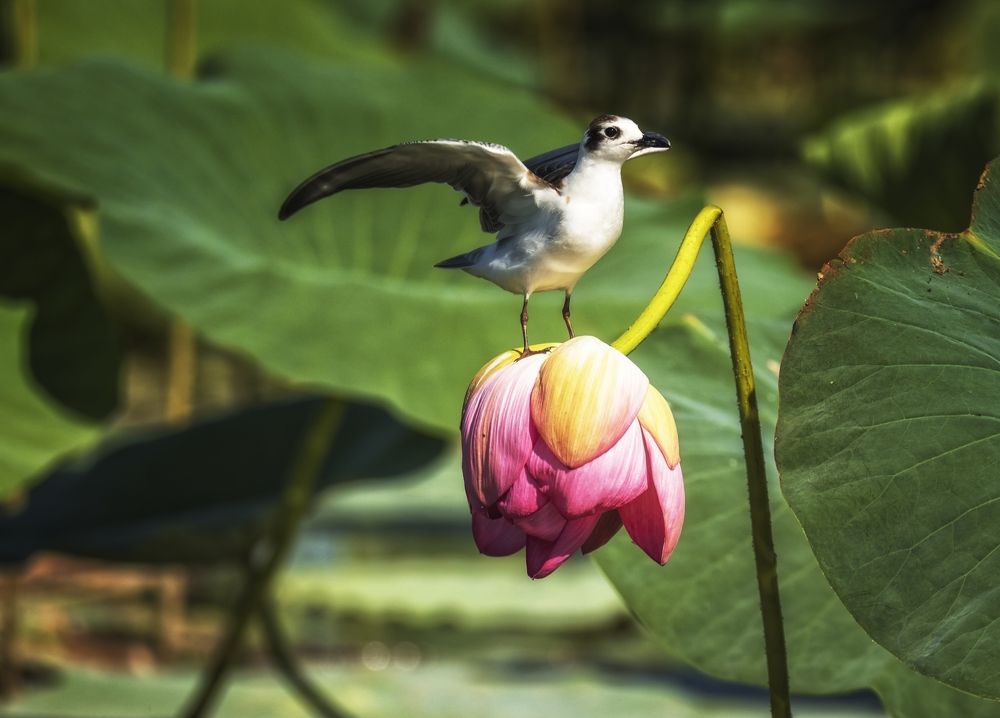 Photograph by Анатолий Салтыков