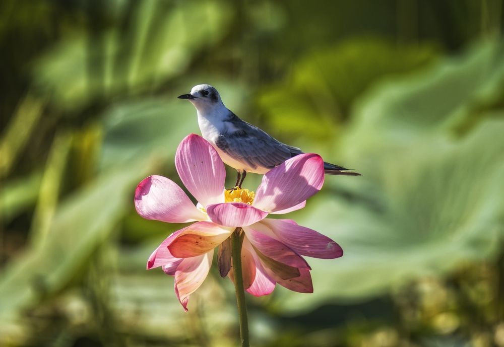 Photograph by Анатолий Салтыков