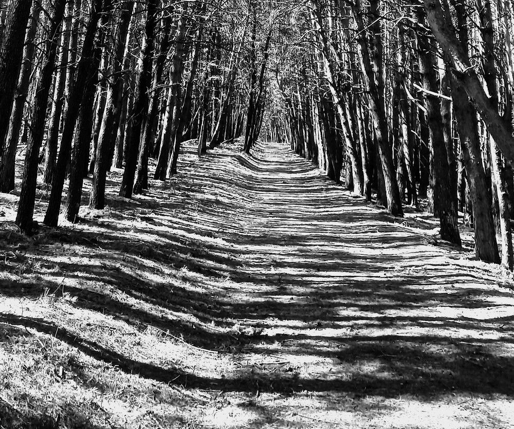 Photograph by Галина Воеводенко