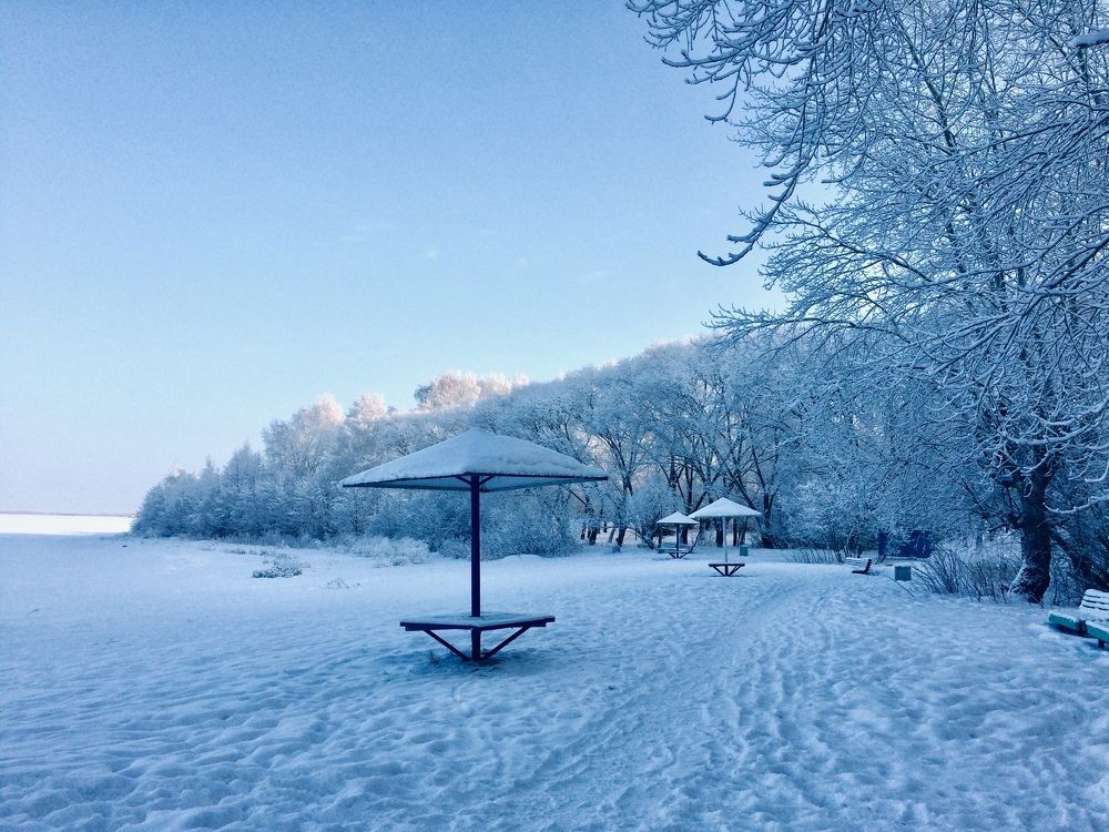 Photograph by Ирина Александрович