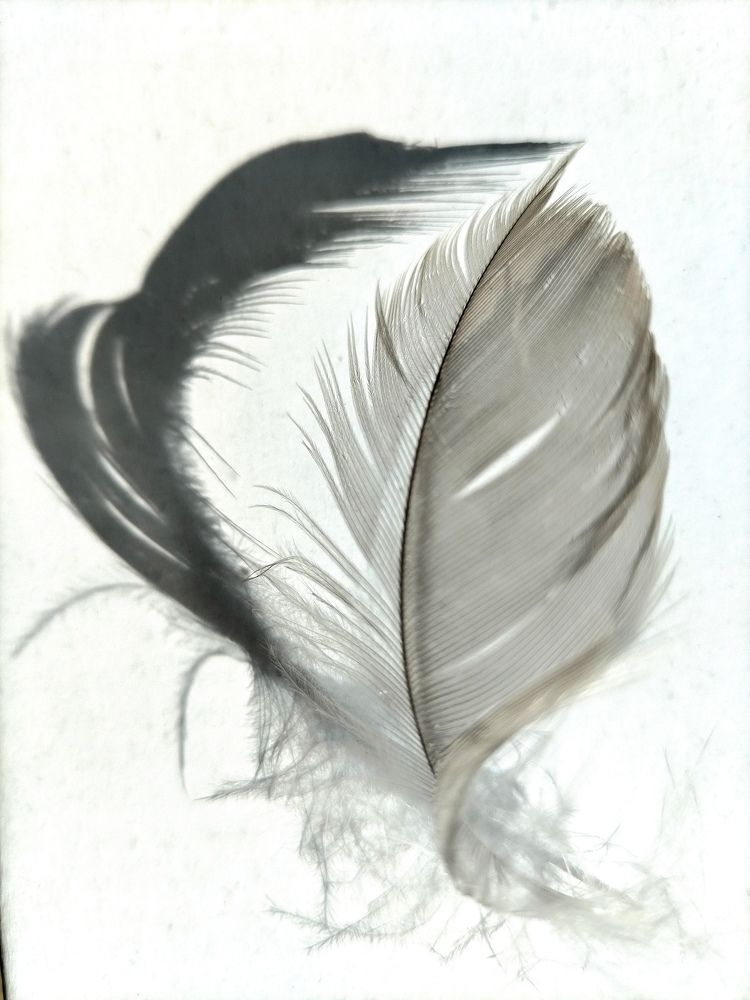 Photograph by Татьяна