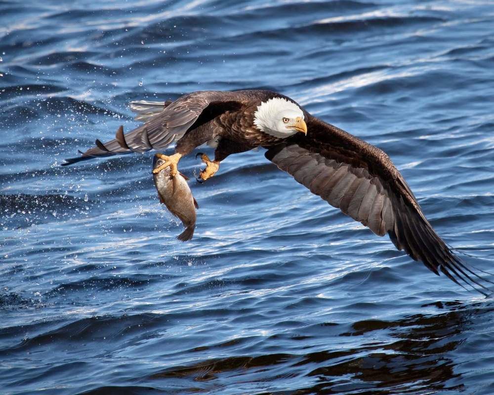 Photograph by Юлия