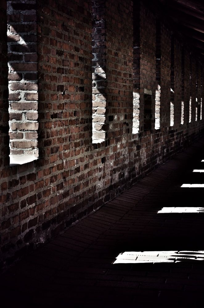 Photograph by Зыкова Мария