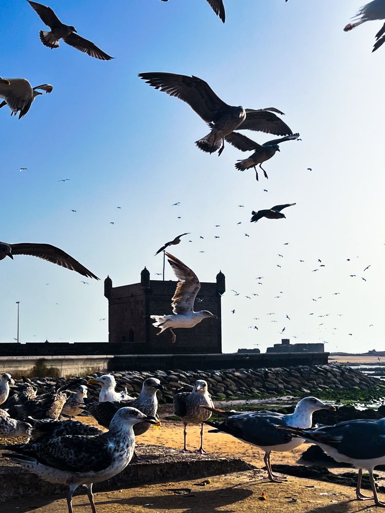 Photograph by Евгения Мягкова