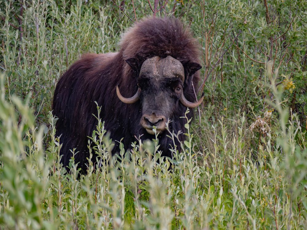 Photograph by Андрей Шепелев