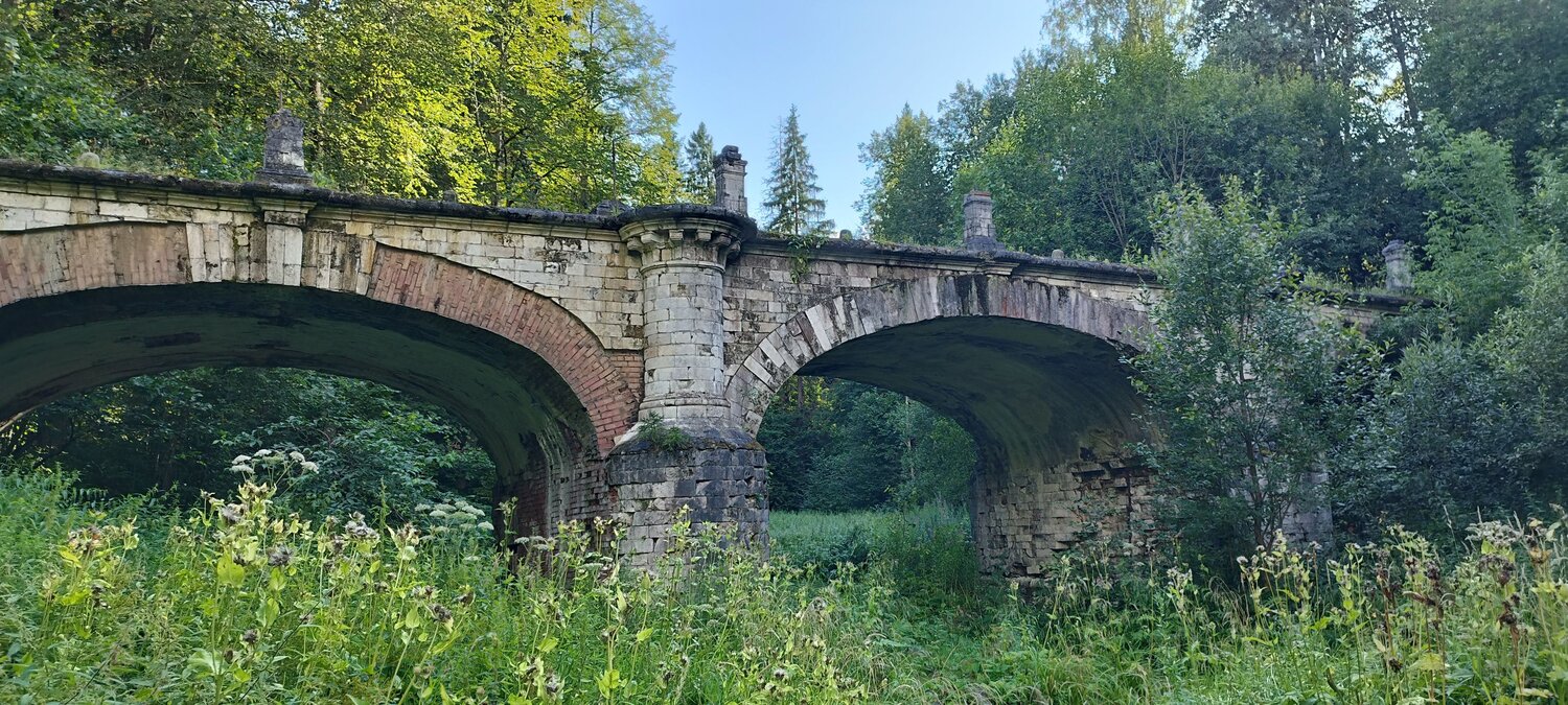 Photo #11013698