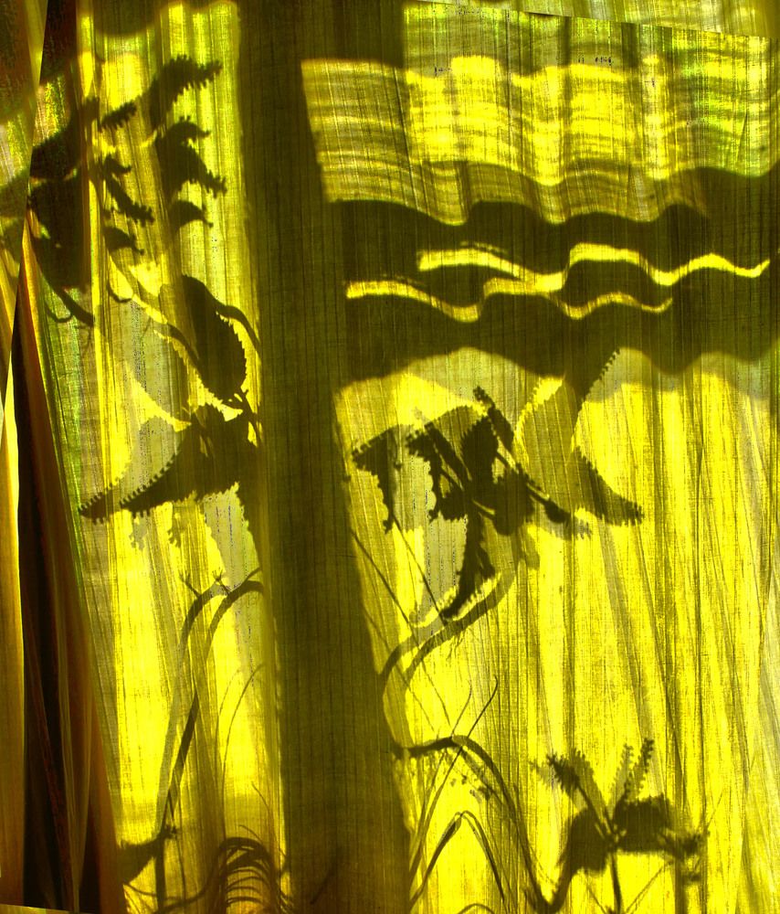 Фотография автора Всеволод