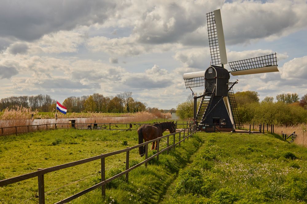 Фотография автора Ekaterina Palant