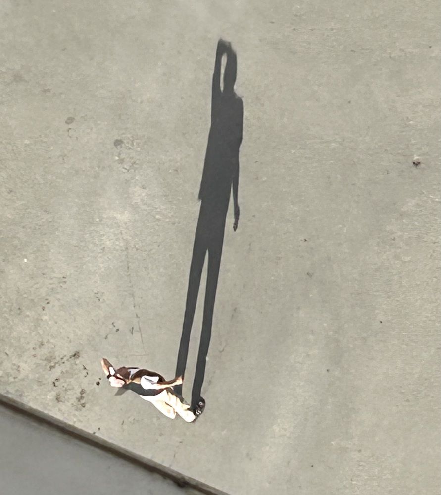 Photograph by Амирова Анар