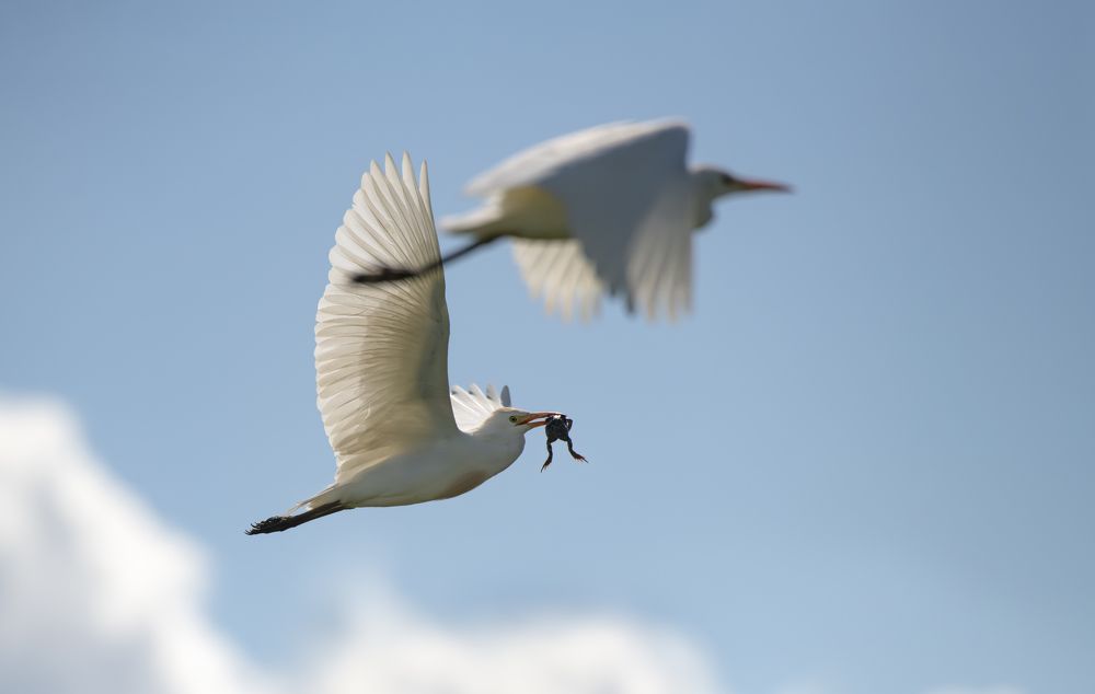 Фотография автора Neslihan Taylan Tülbentci