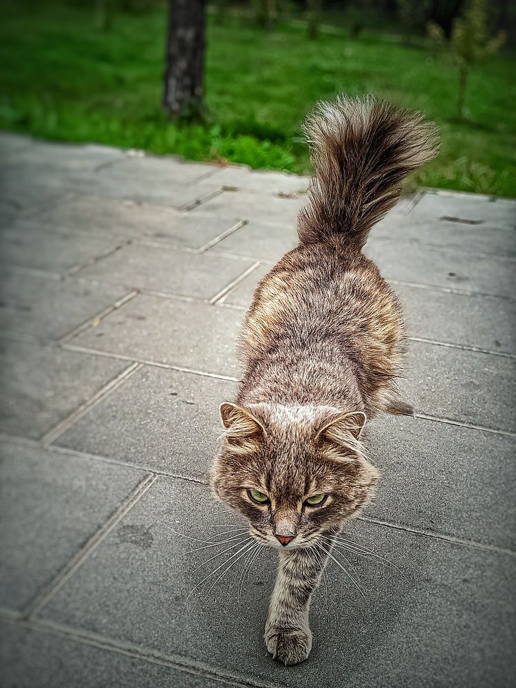 Photograph by Олега Тор