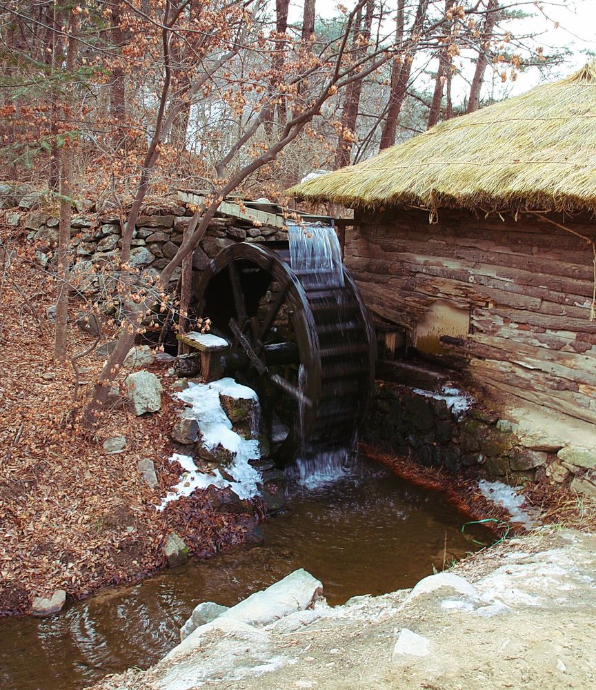Фотография автора АЛЕКСАНДР ЦЫГЕЛЬНЮК