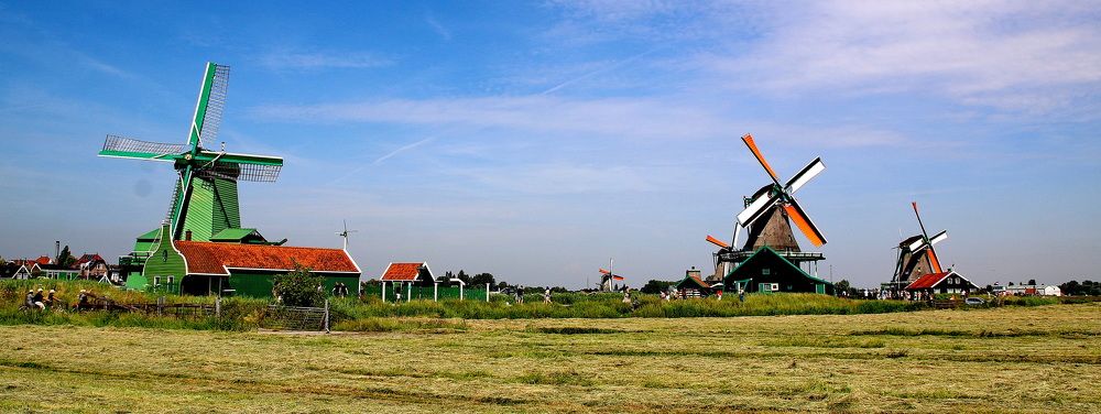 Фотография автора АЛЕКСАНДР ЦЫГЕЛЬНЮК