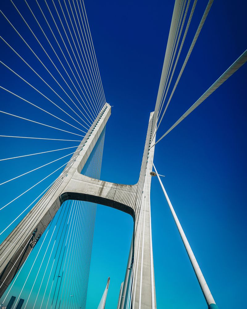 Photograph by Svetlana Pascoal