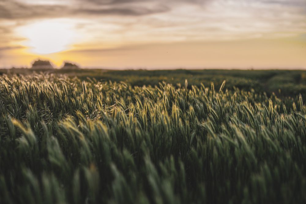 Photograph by Галина Еровенко