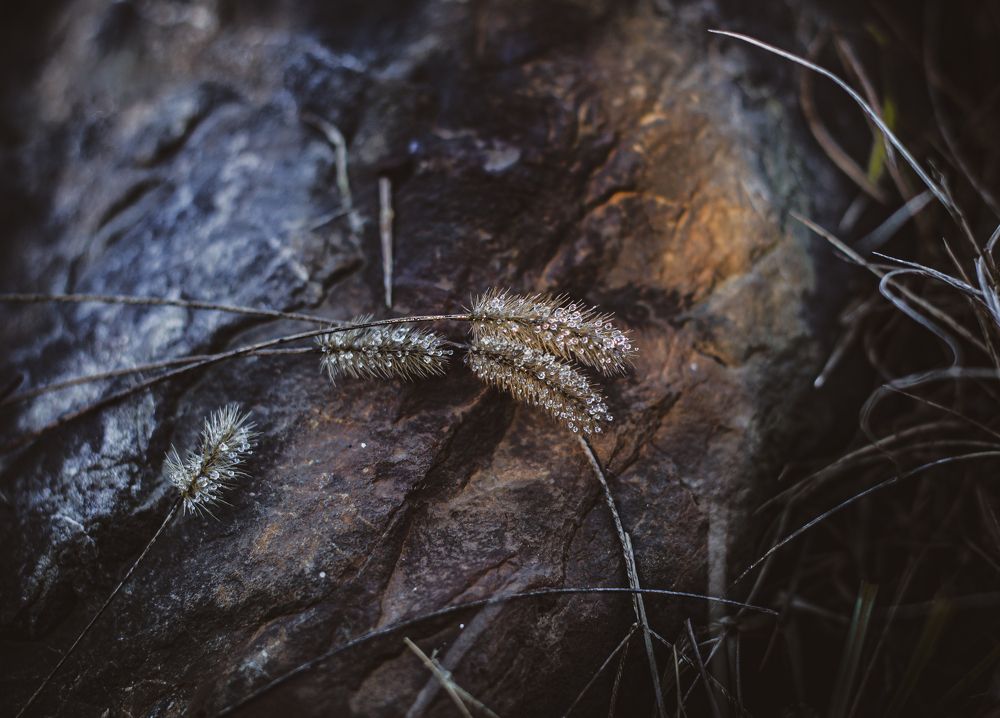 Photograph by Галина Еровенко