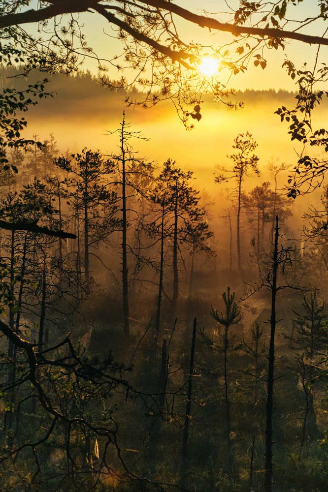 Photograph by Северная Алиса