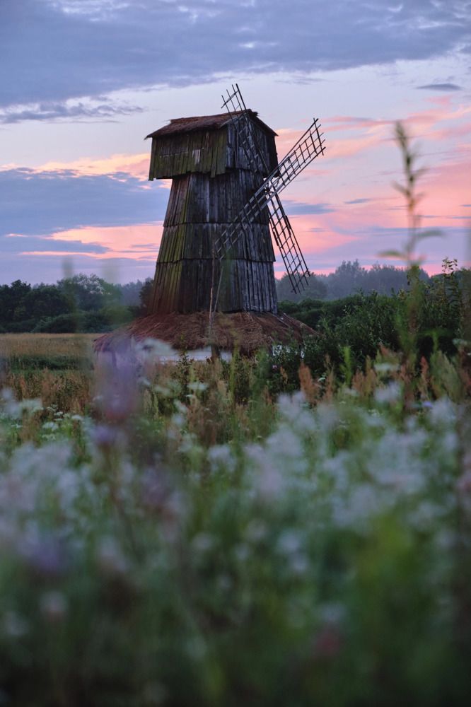 Photograph by Северная Алиса