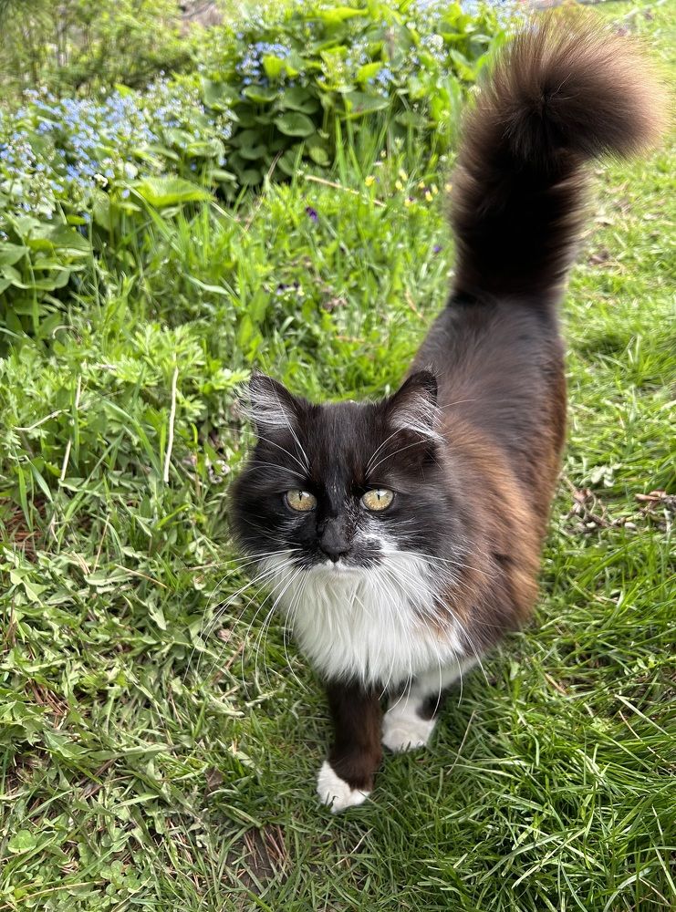 Photograph by Елена Власова