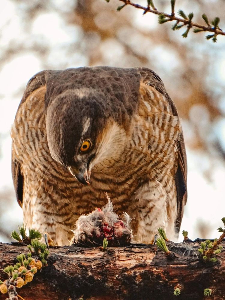 Photograph by Анжелика Трошина