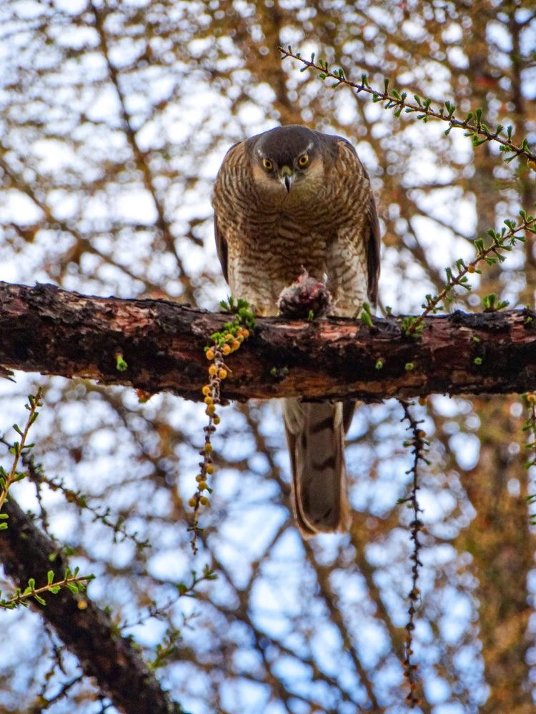 Photograph by Анжелика Трошина