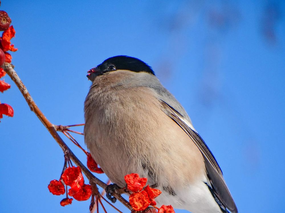 Photograph by Анжелика Трошина