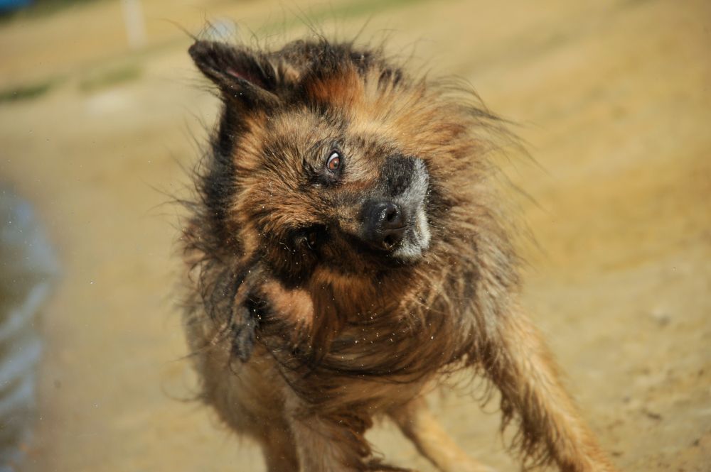 Photograph by Мария Лавриненко