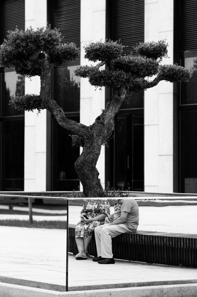 Photograph by Денис Труфанов