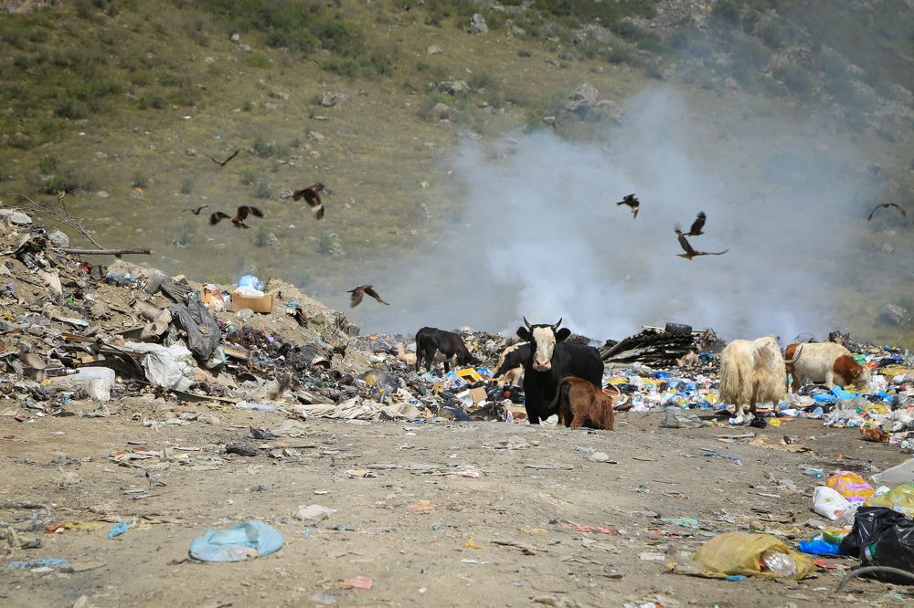 Photograph by Александр Мамойлов