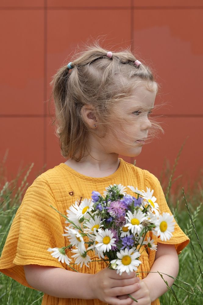 Полевые цветы (wildflowers)