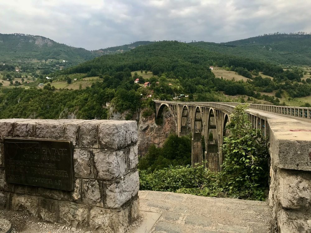 Photograph by Шестакова Наталья