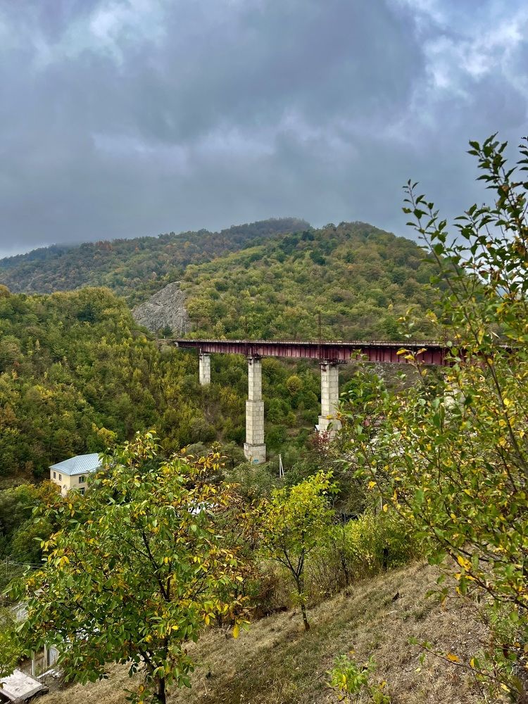 Photograph by Шестакова Наталья