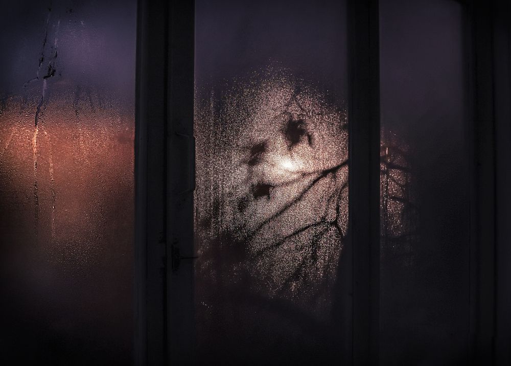 Фотография автора Елена Разина