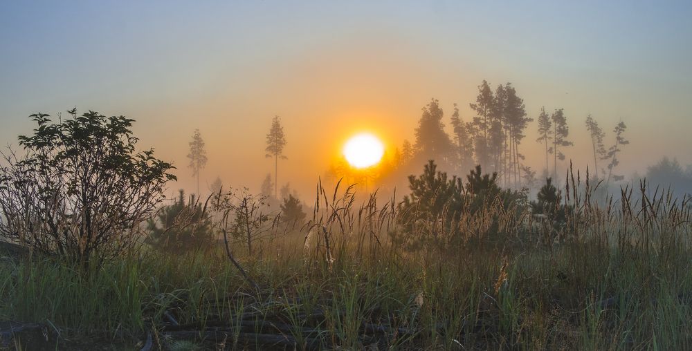 Photograph by Александр Строков