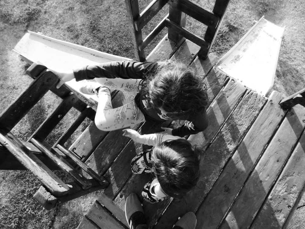 Photo #11014552