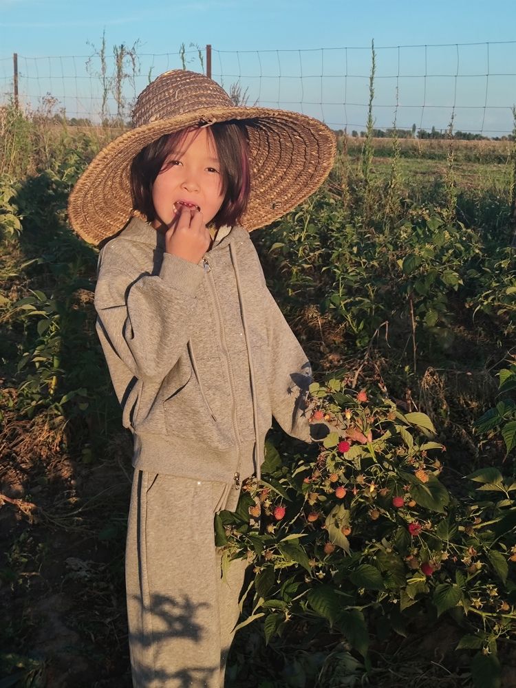Photo #11014577