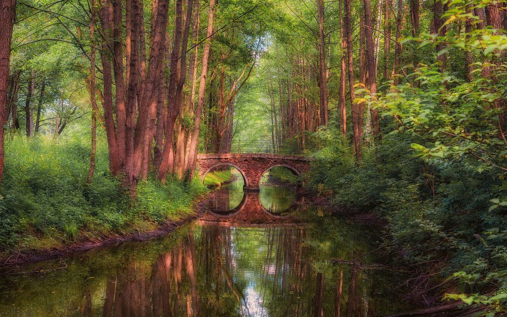 Photograph by Сергей Дишук