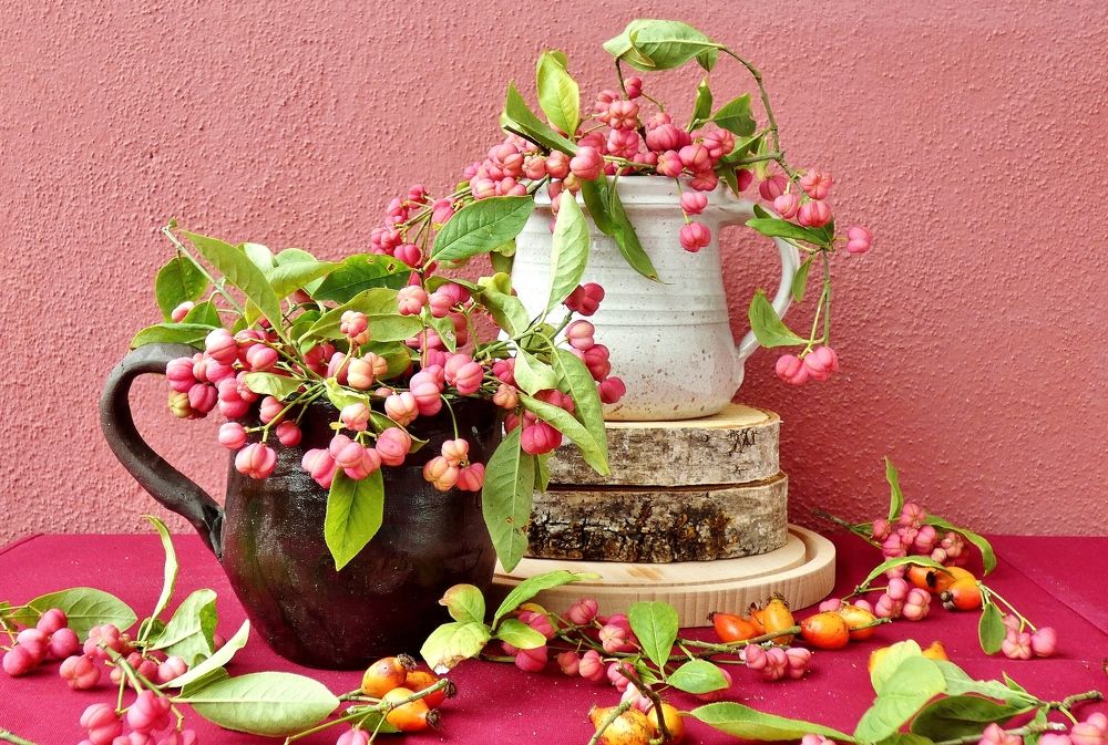 Photograph by backareva irina