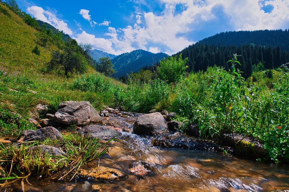 Photograph by Михаил Ноеренчук