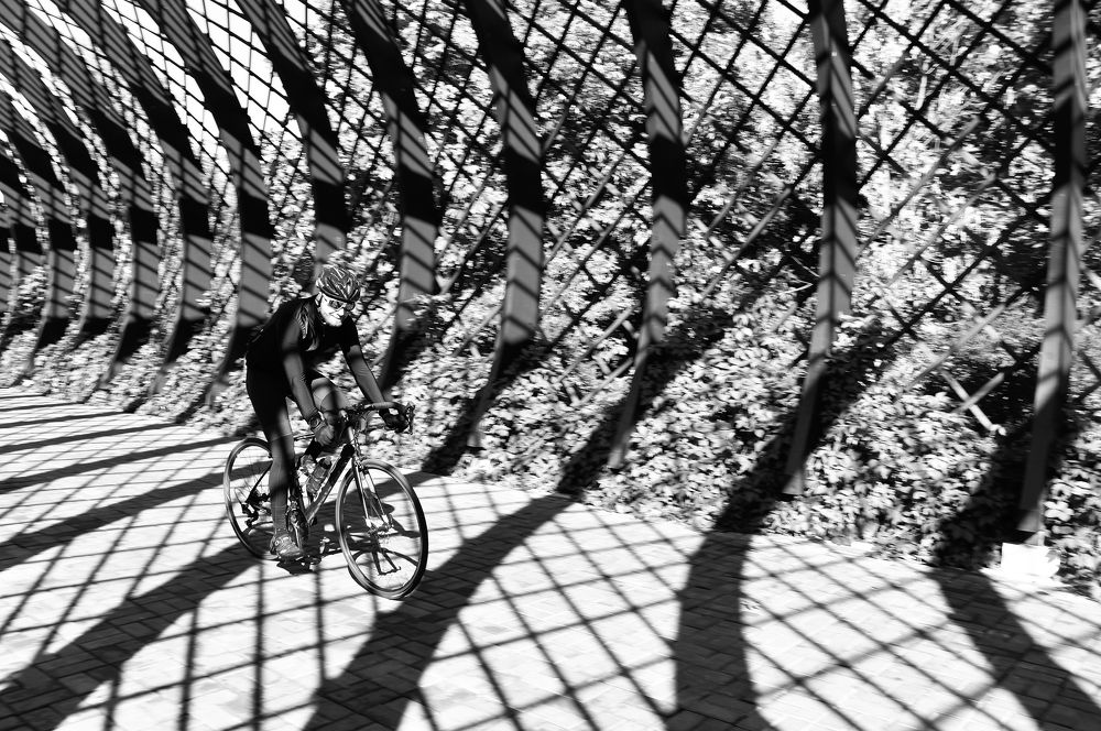 Photograph by Olga Mendosa