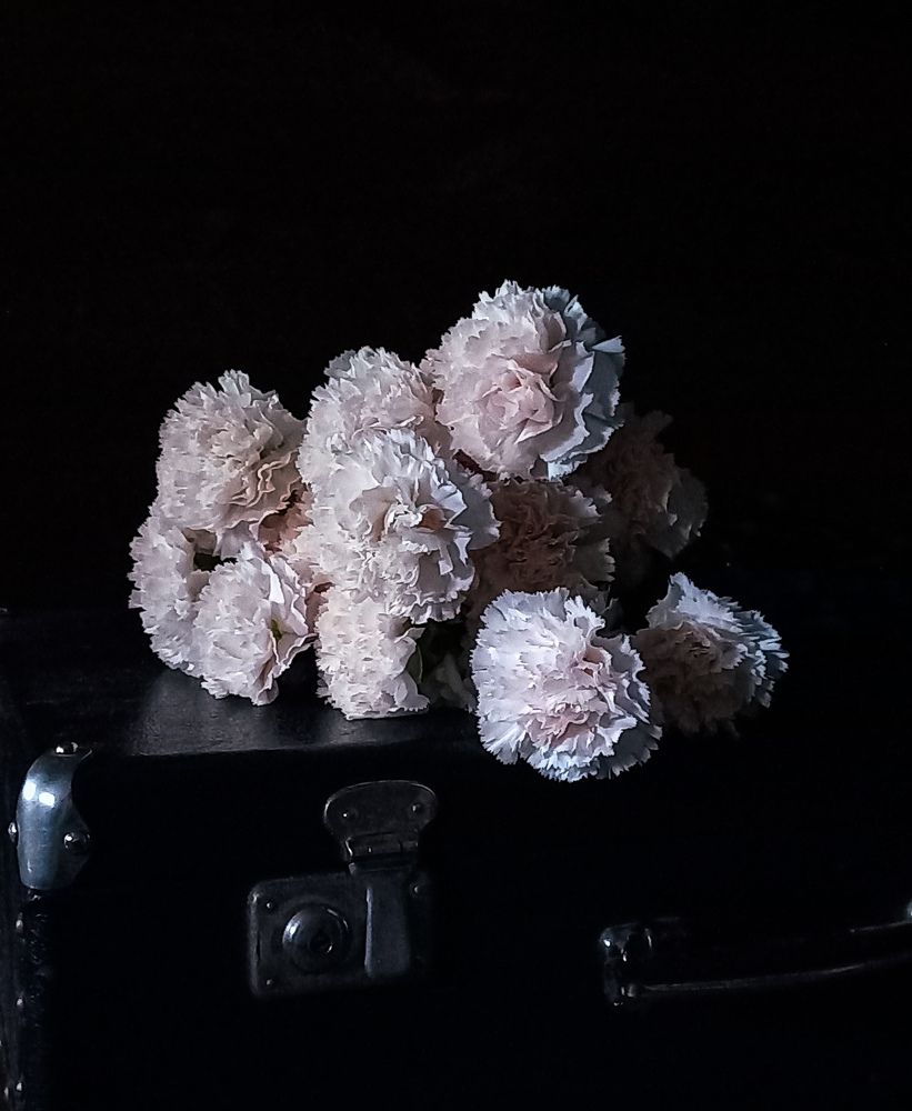 Photograph by Наталья