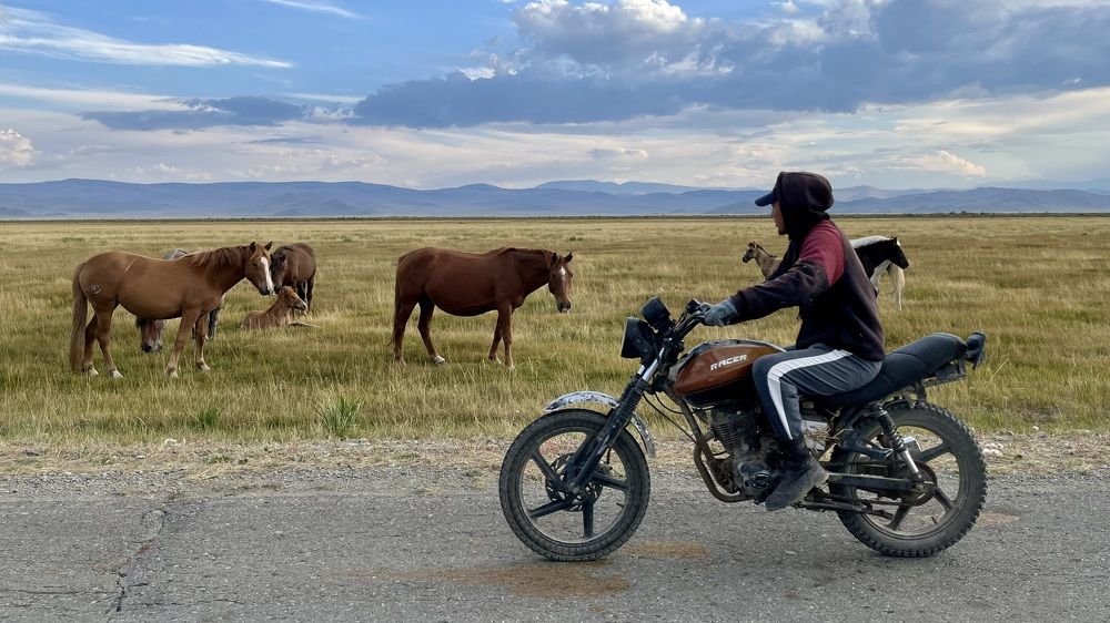 Photograph by Кузнецов Андрей