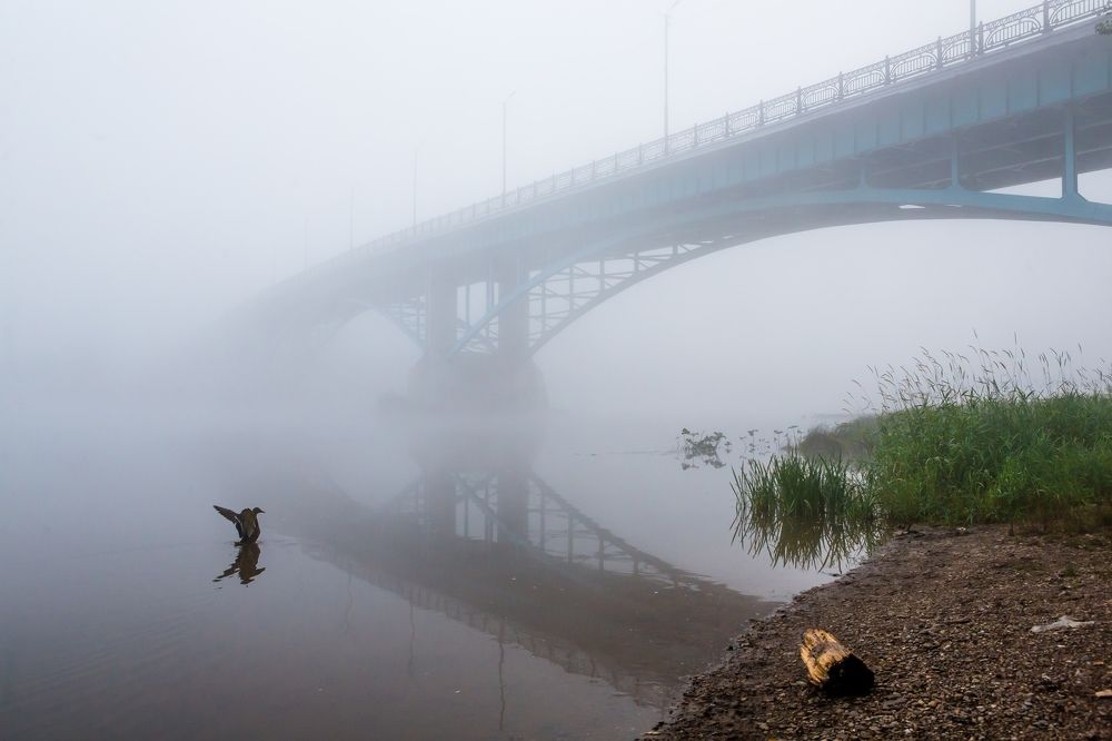 Туманное утро. Август.