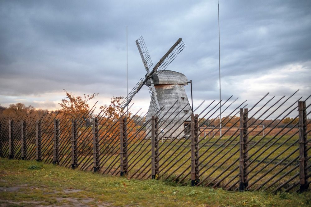 Photograph by Дария Ризниченко