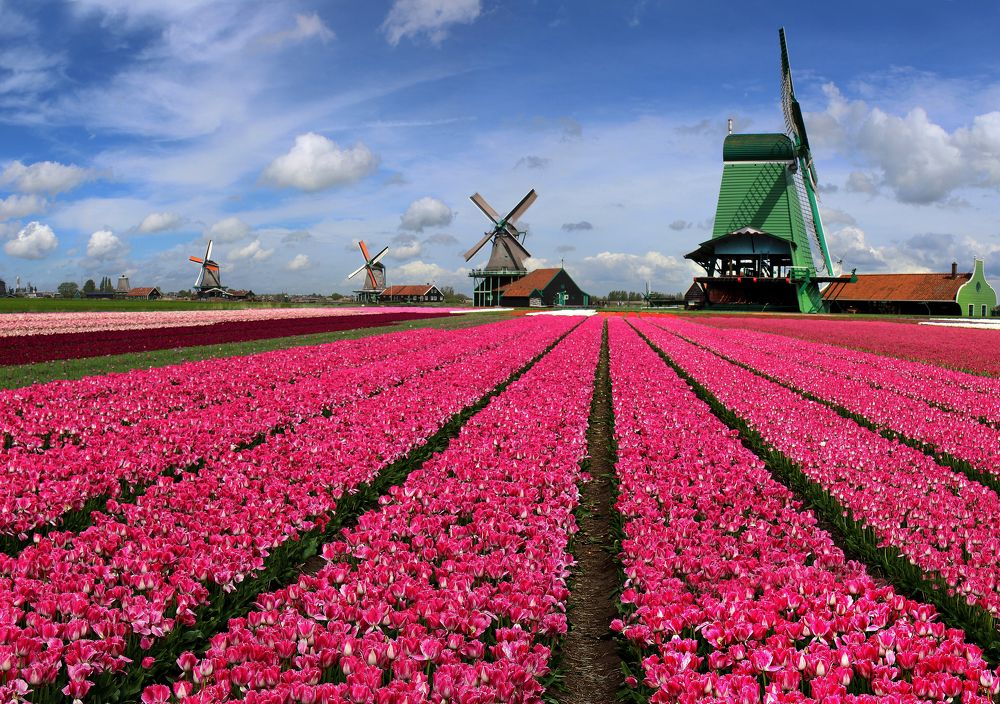 Photograph by Вадим Городницкий