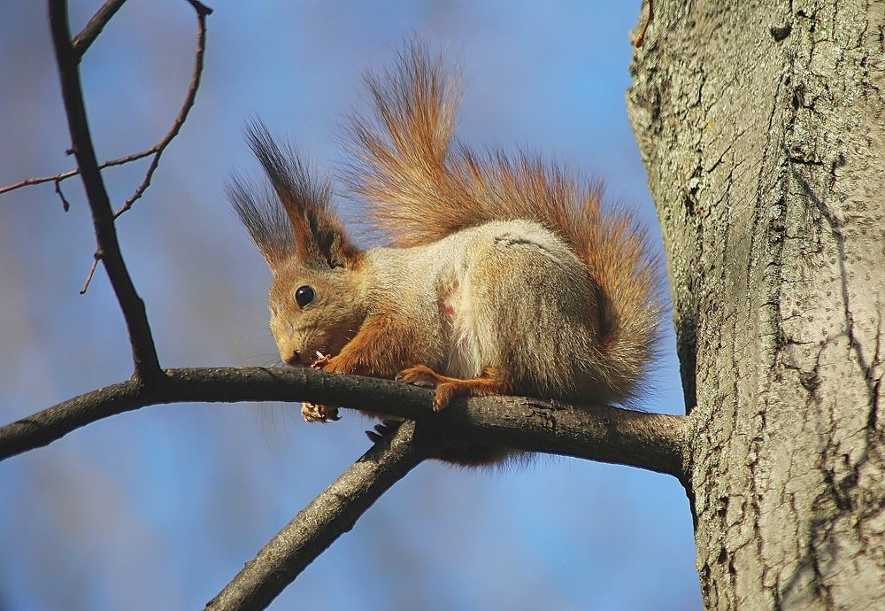 Photograph by Дмитрий Фетисов