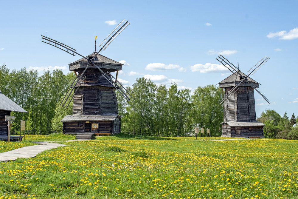 Photograph by Дария Ризниченко