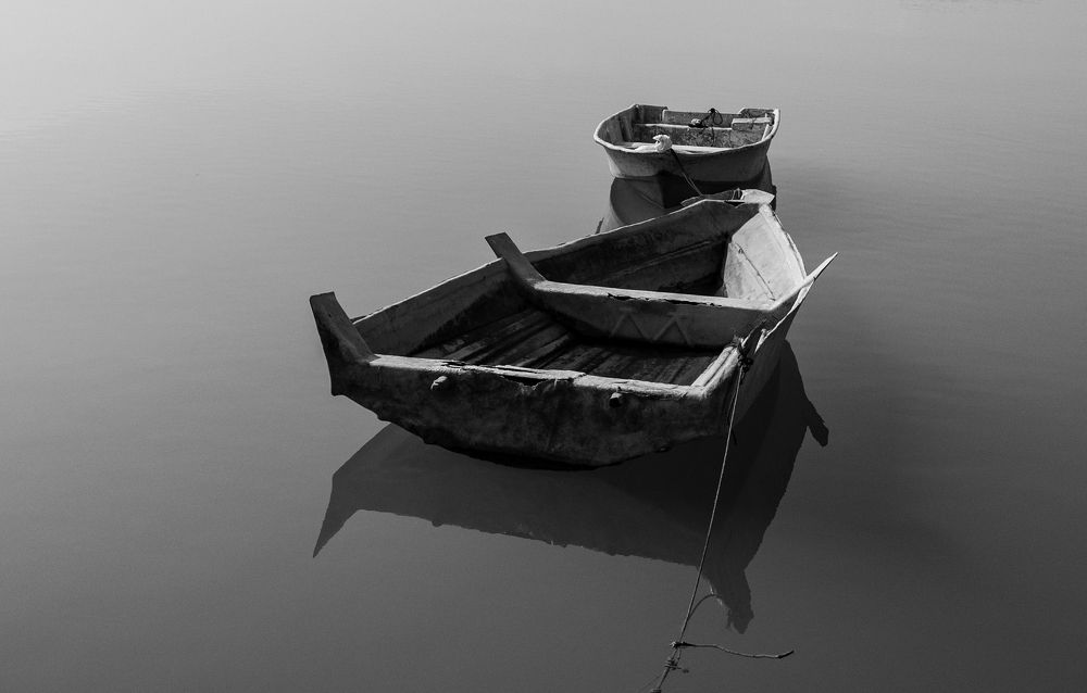 Photograph by Iman Barin