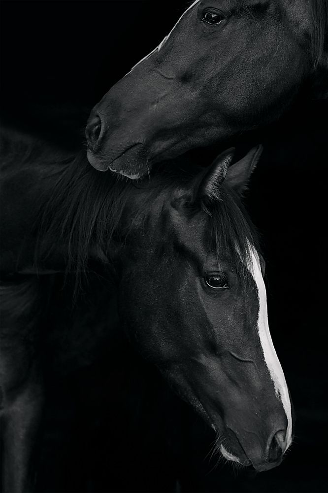 Photograph by Любовь Похабова